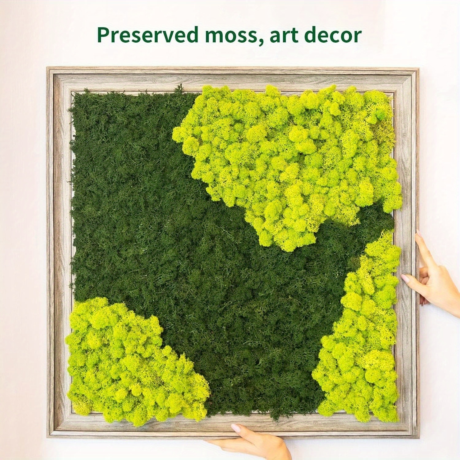 

6 Color Preserved Moss Home Office Artistic Christmas Decoration, Fake Moss Suitable For Flowerbeds Reindeer Craft Moss Crafts (6 Colors)