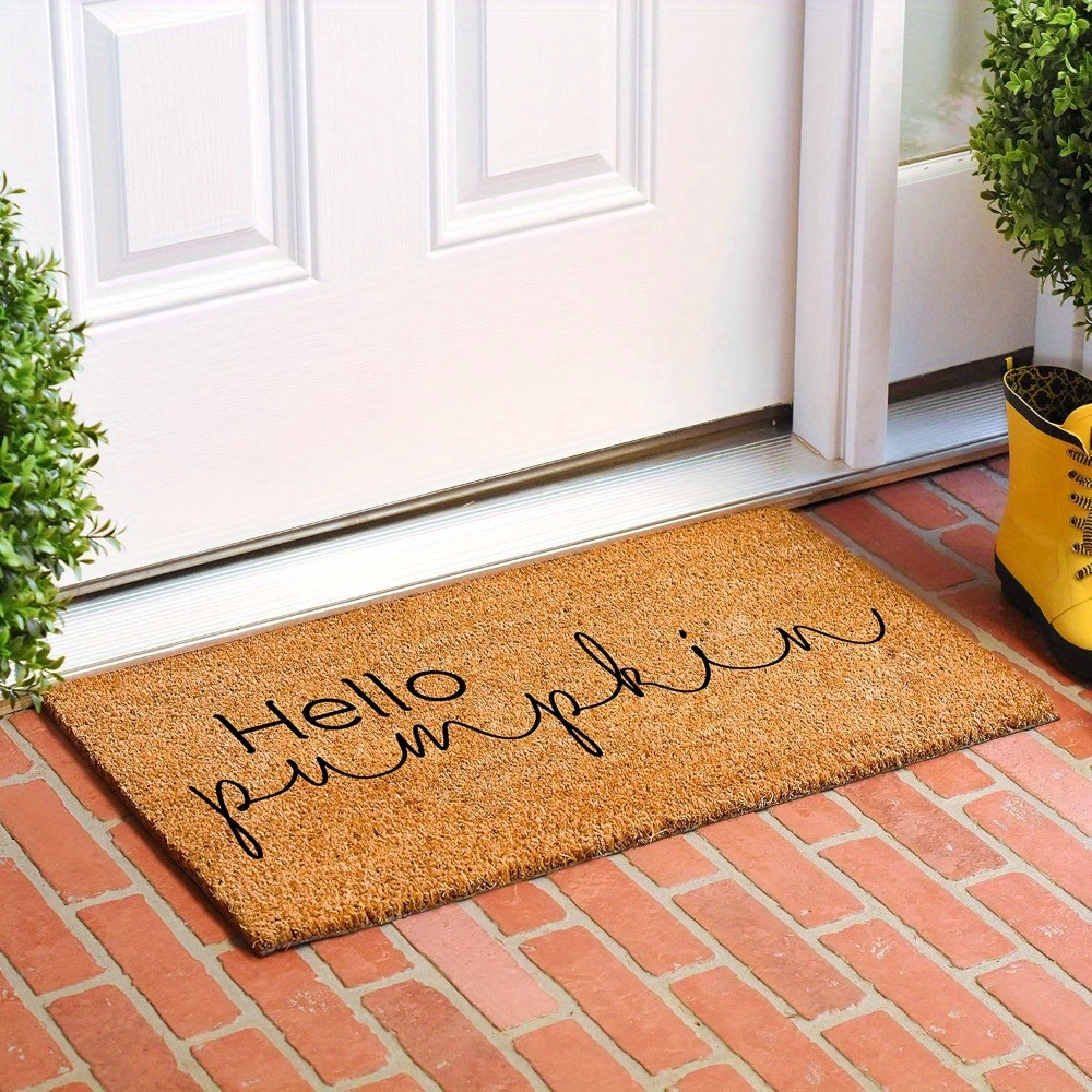 

24"x 16" Entrance Welcome Doormat Bathroom Kitchen Universal Front Door Mat With Non-slip Rubber Back