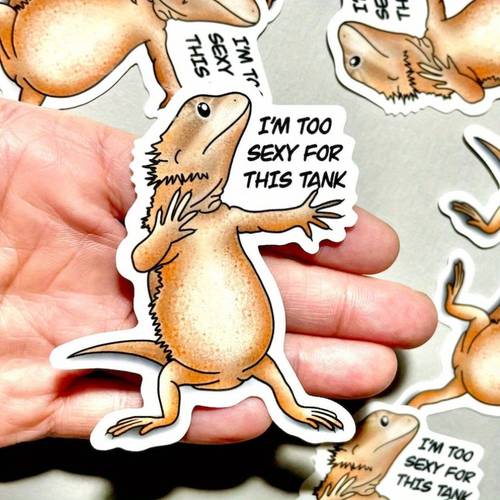 stickers with bearded dragons lizards and reptiles durable vinyl decals weatherproof great for laptops water bottles and as gifts teens and adults looking for creative decorating ideas