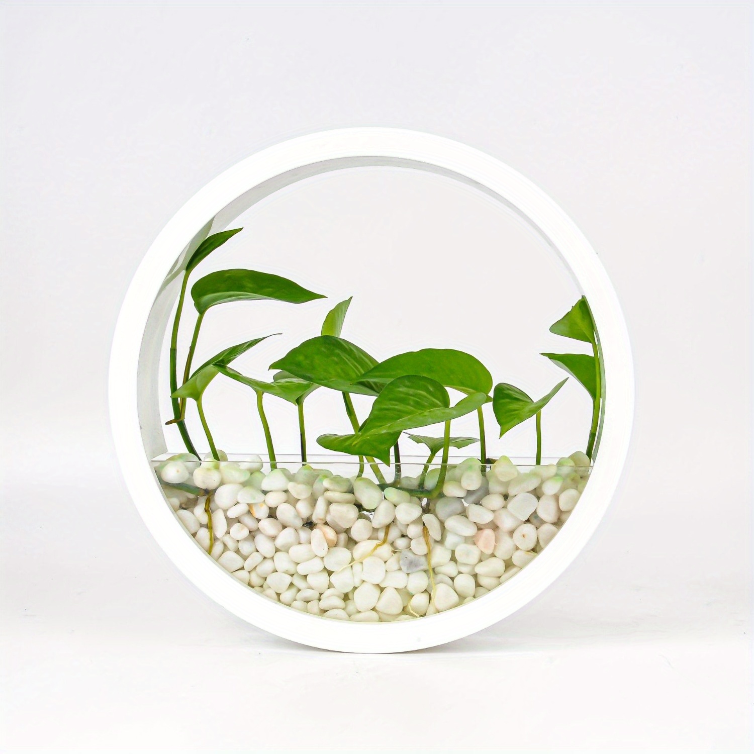 

-mounted For Succulents & Spider Plants - , Round Hydroponic For / Use