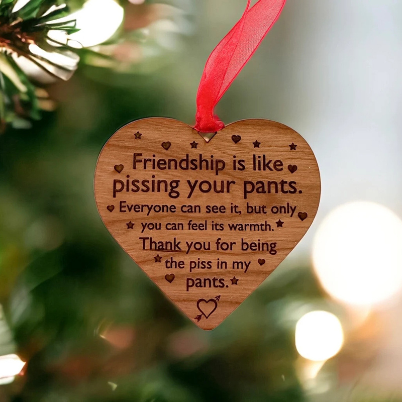 TEMU 2pcs Funny Friendship Ornaments // Best Friend Gift // Friendship Is Like Pissing Your Pants // Christmas Ornaments