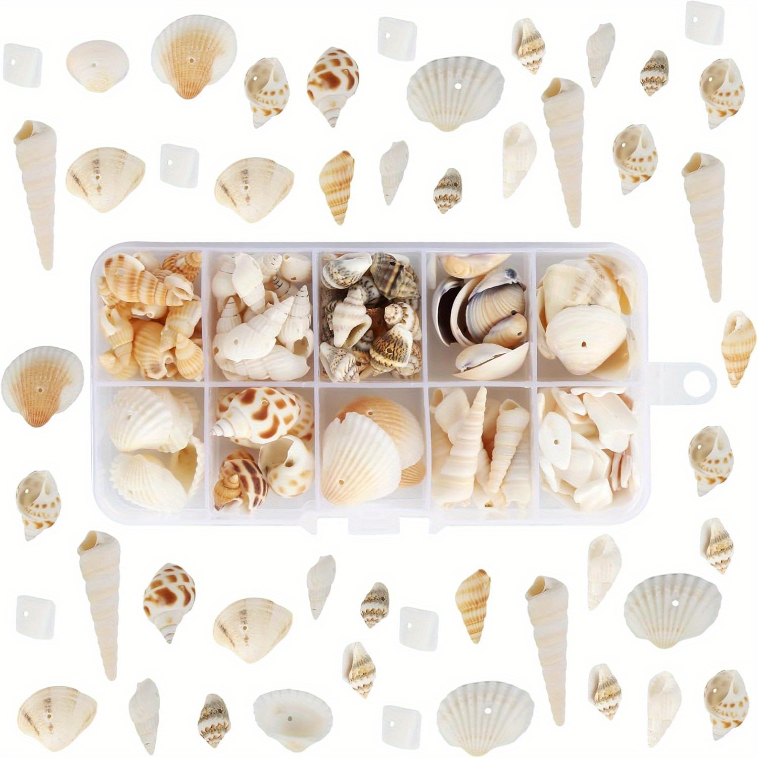 

Shell Decorations, 150 Pcs+ Mixed Shells, Conchs, Natural Shells For Crafts With Holes, Used For Beach Themed Parties, Wedding Decorations, Diy Shell Necklaces, Candle Making, Aquariums, Vase Filling