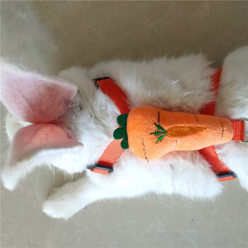 One Piece of Adjustable Leash for Small Pets, Suitable for Rabbits.