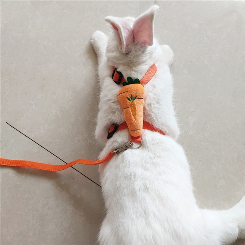 One Piece of Adjustable Leash for Small Pets, Suitable for Rabbits.