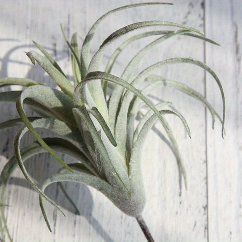 2 stck knstliche flocking bromelien luftpflanzen hngende - Temu Germany