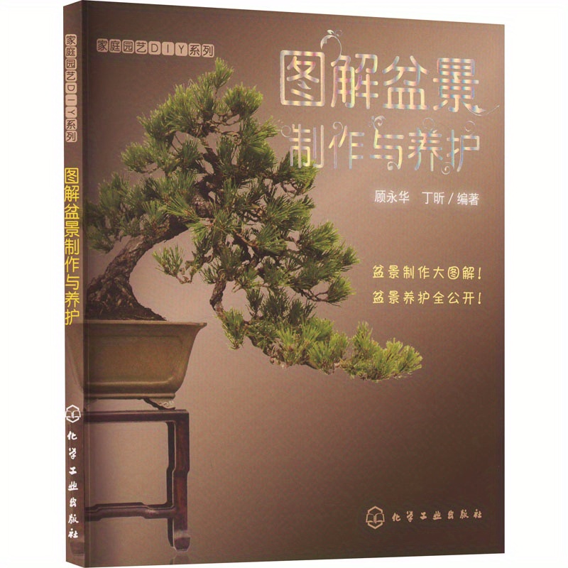 bottle tree bonsai Brachychiton rupestris (Queensland Bottle Tree)