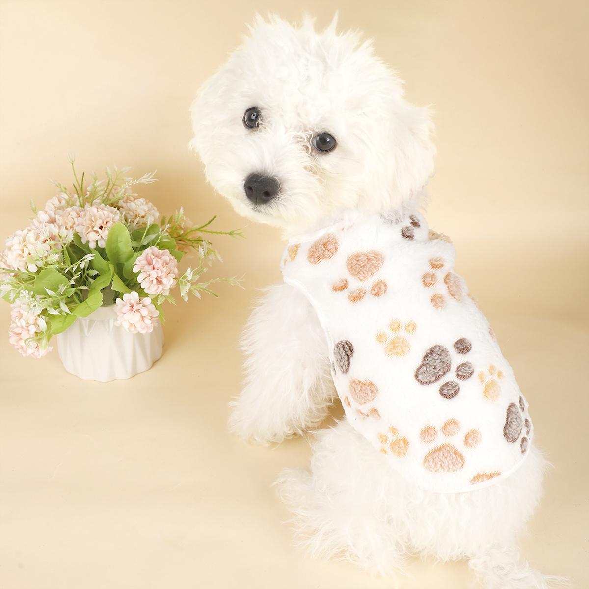 

Dog - , Pet For Small To Breeds, For / Use In Fall &