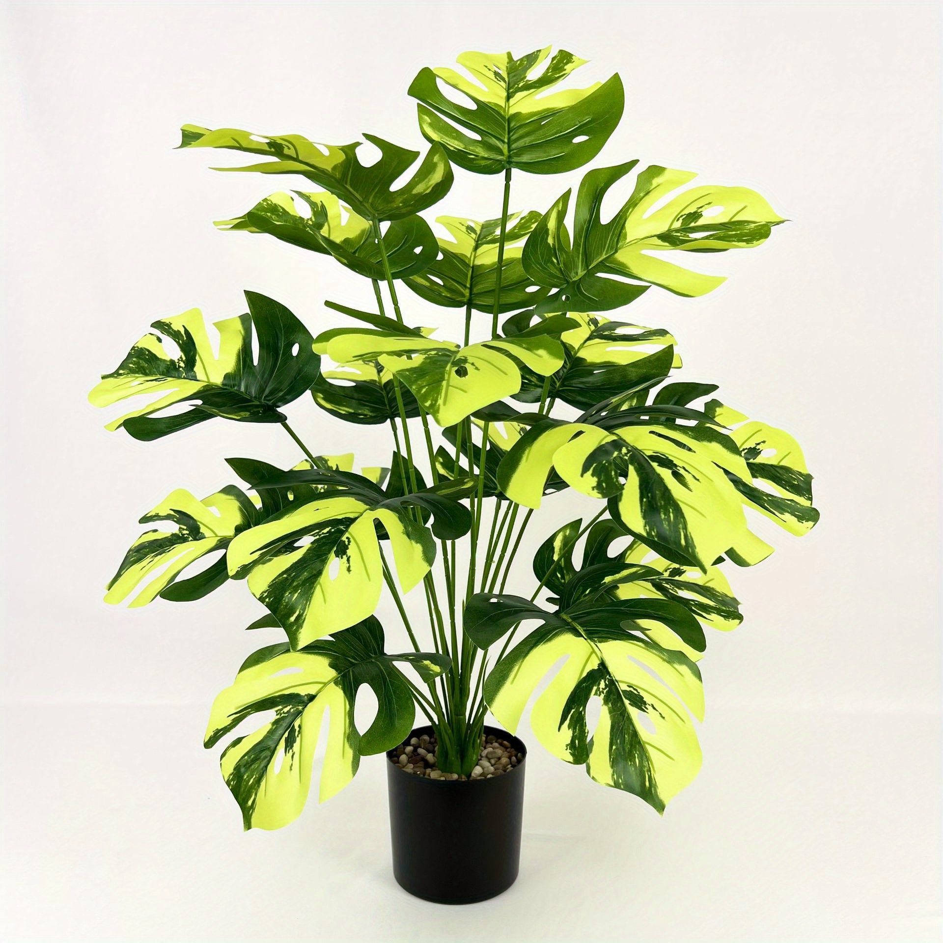 monstera 18 bltter groes grnflchenbild groe - Temu Germany