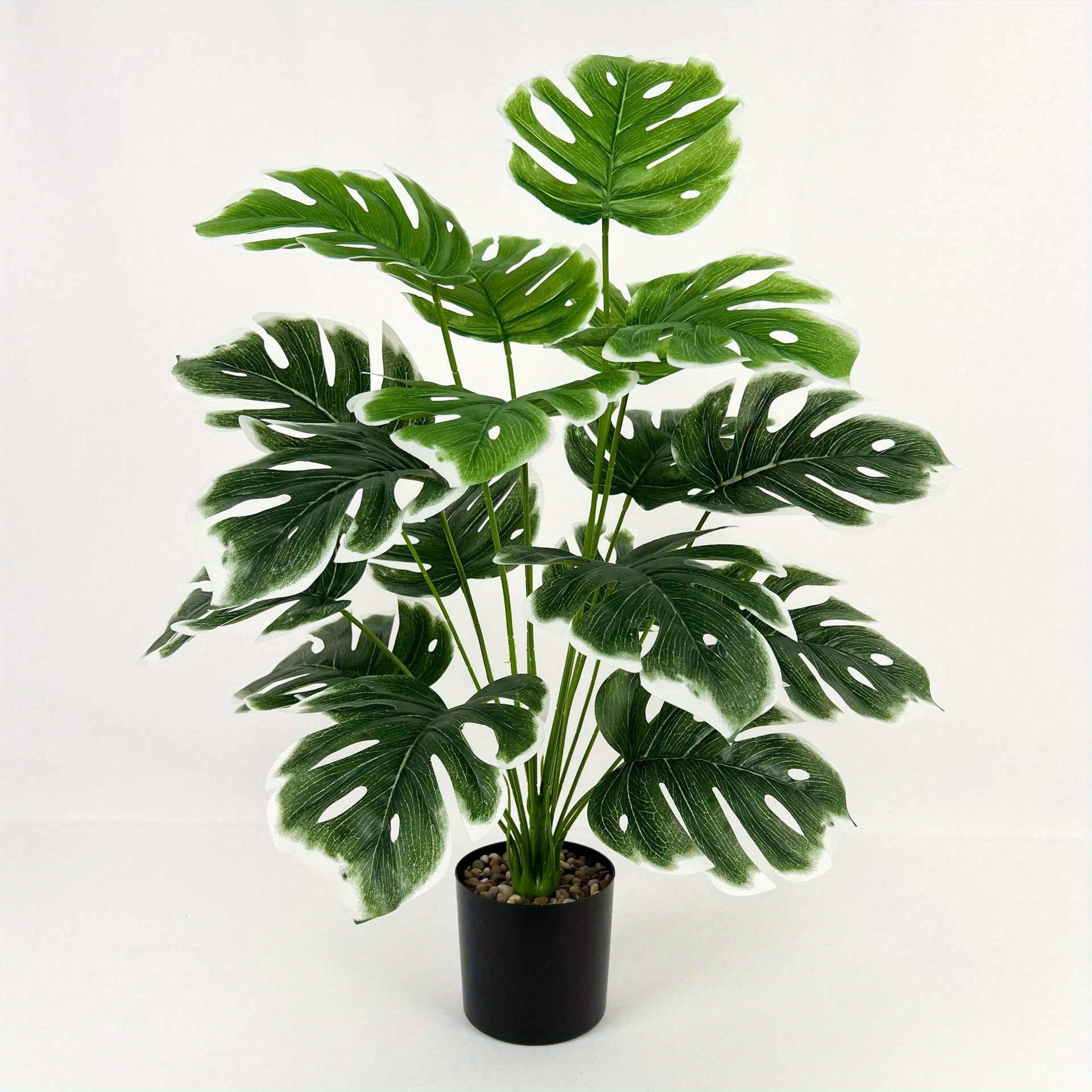monstera 18 bltter groes grnflchenbild groe - Temu Germany