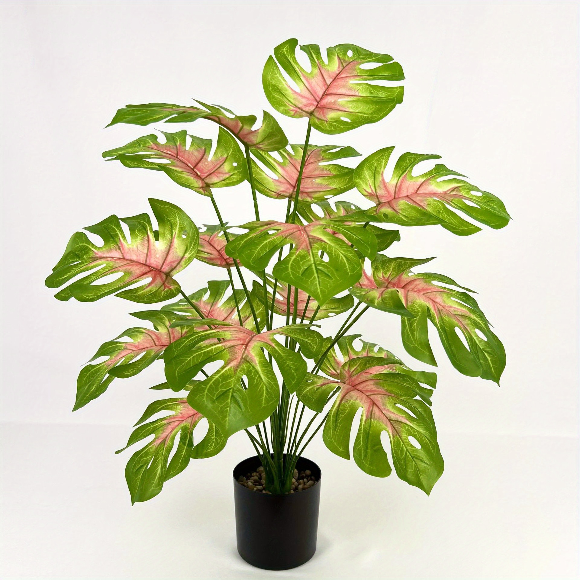 monstera 18 bltter groes grnflchenbild groe - Temu Germany