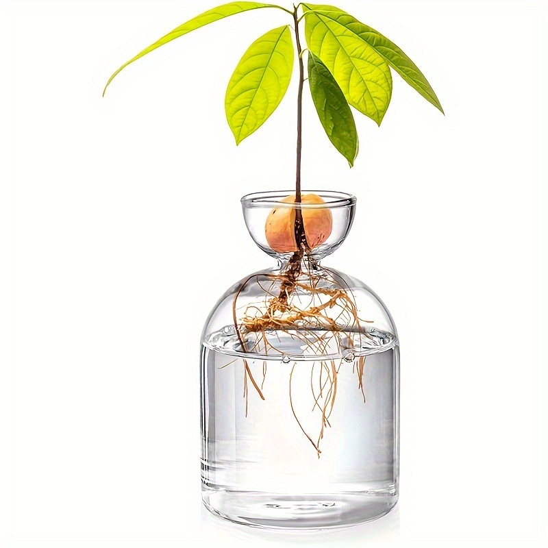 

1pc Seed Germination Kit - Round Hydroponic Vase -watering Stand For And , And Decor