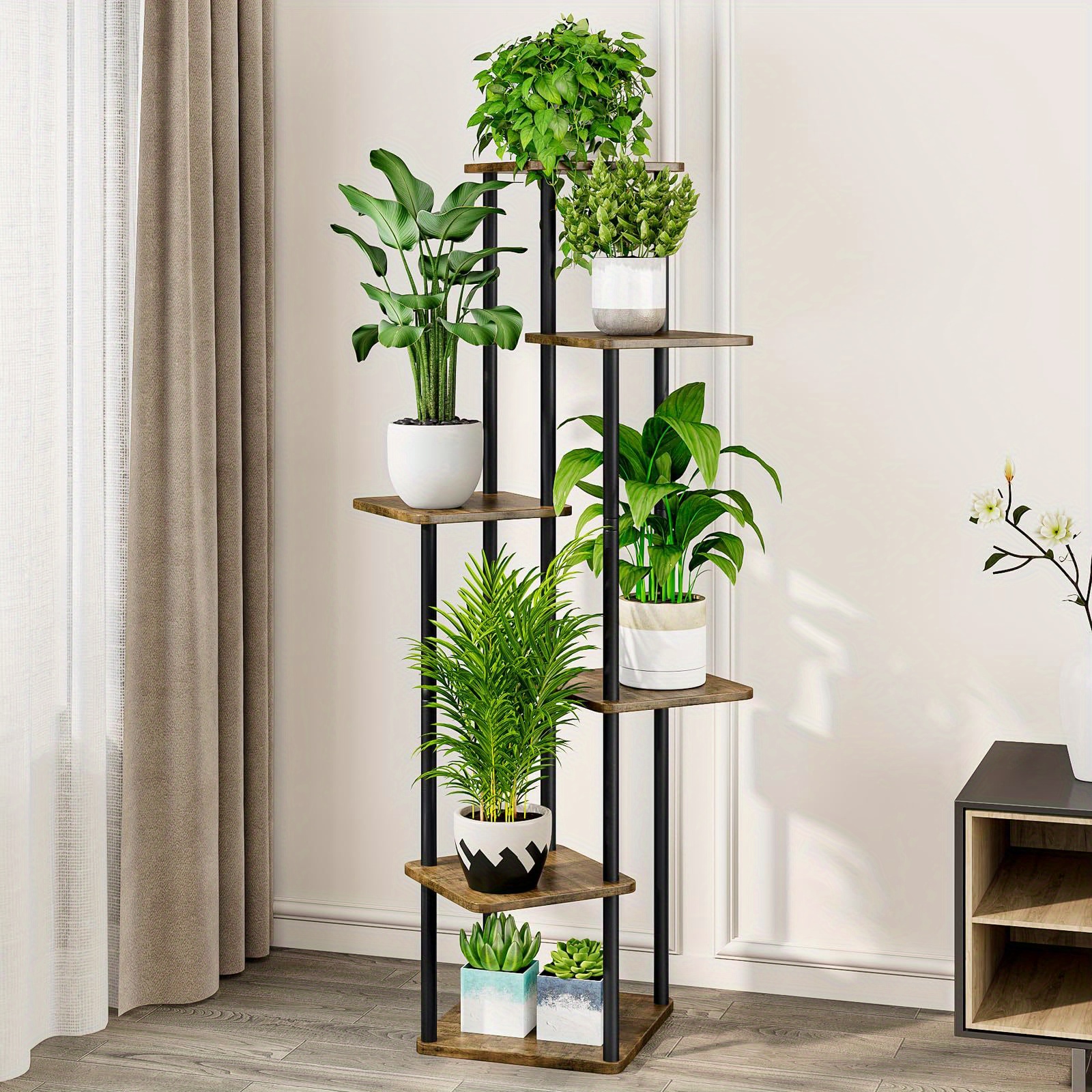 money tree bamboo plant Good Luck Vaastu Plants (Bamboo & Money Plant) – Nurturing Green
