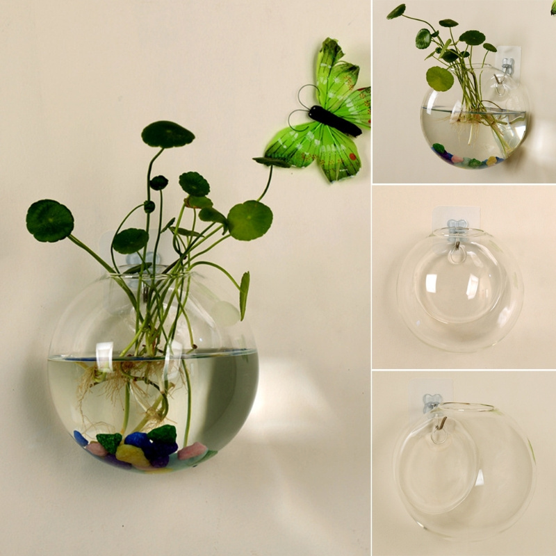 Wall Planters For Indoor Plants Set Of 4 Oval S - Propagation Stations For  Hydroponics & Indoor Plants, Modern Home Office Decor Glass Wall Planter