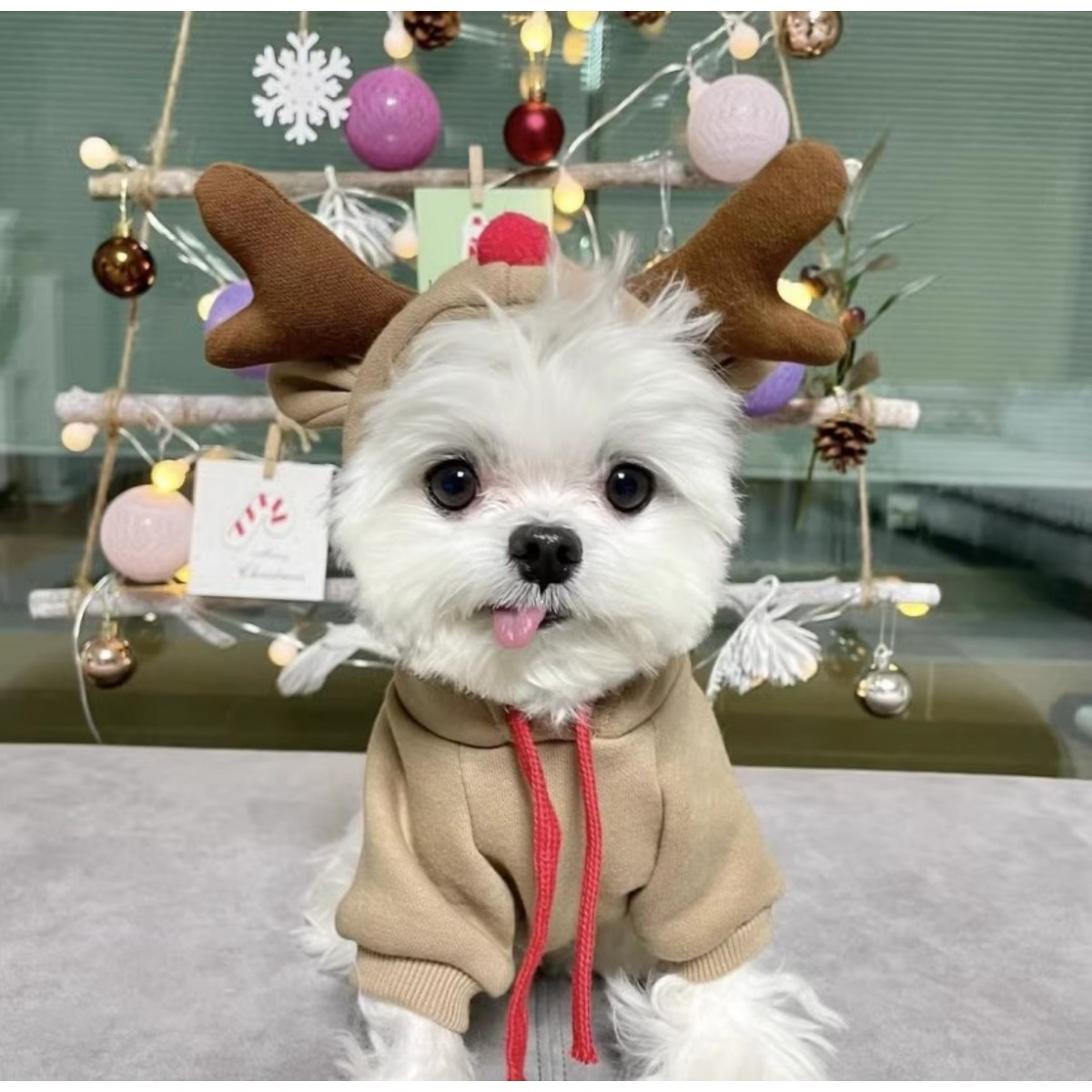 

Cozy Fleece Reindeer Hoodie For Small - Warm, Pet Costume With Antlers & - Ideal For Winter/spring/fall - French Bulldogs & Chihuahuas, Dog Winter Clothes