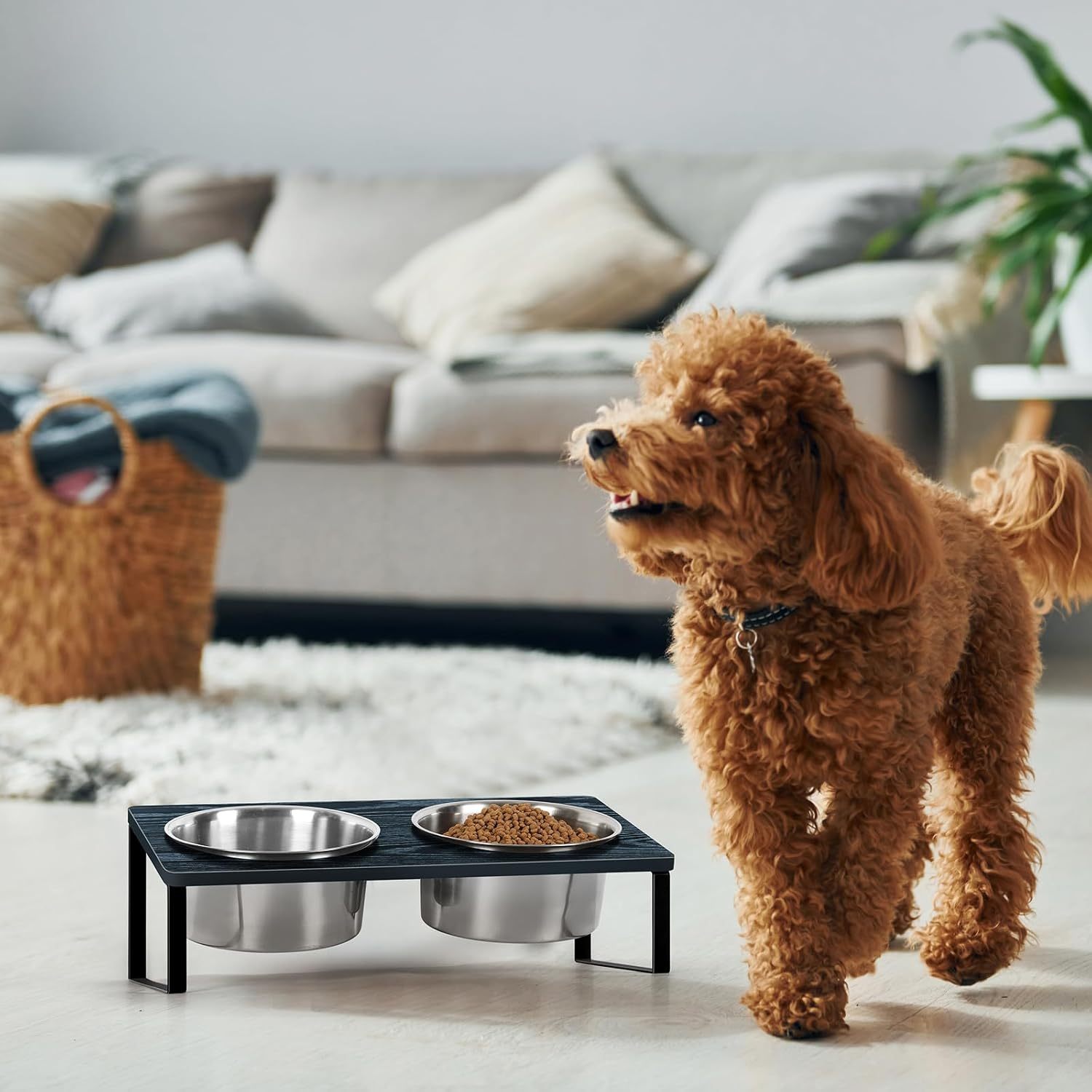 

Height Adjustable Dog Bowl Set 2 Stainless Steel Dishes Mounted On A Sturdy Stand Suitable For Feeding Dogs Different Sizes From Small To Large Black