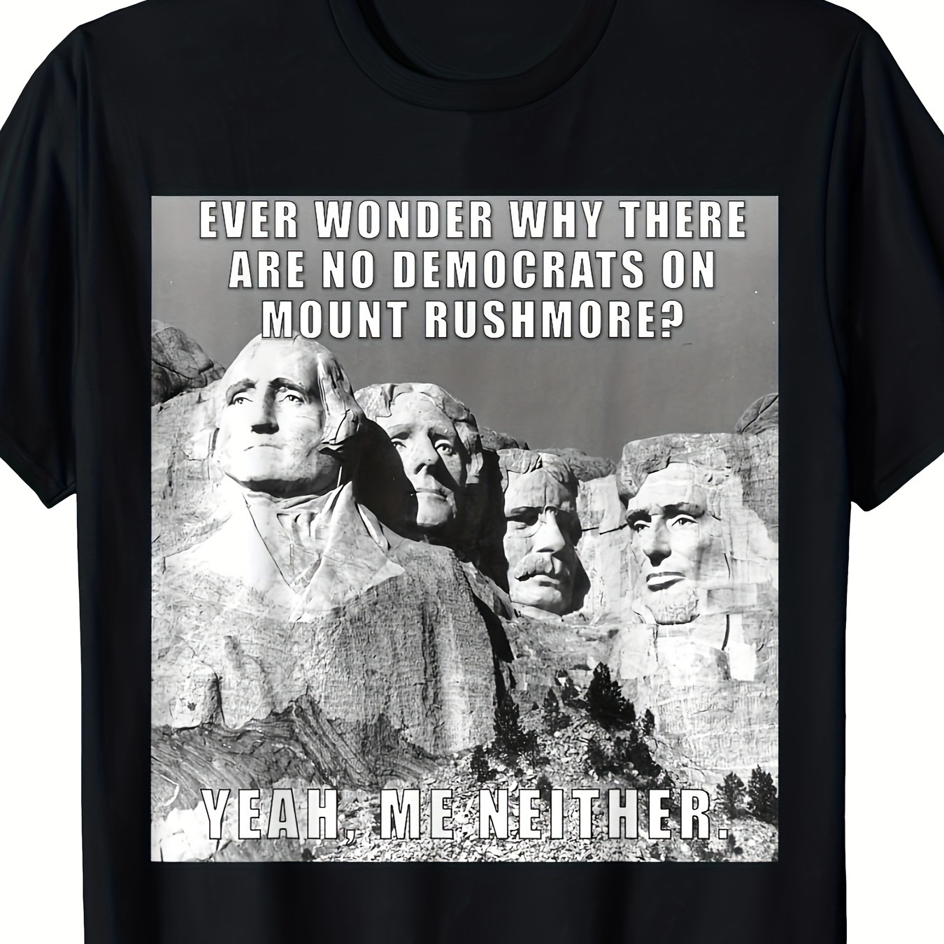 

Interesting Politics Mount Men's T-shirt