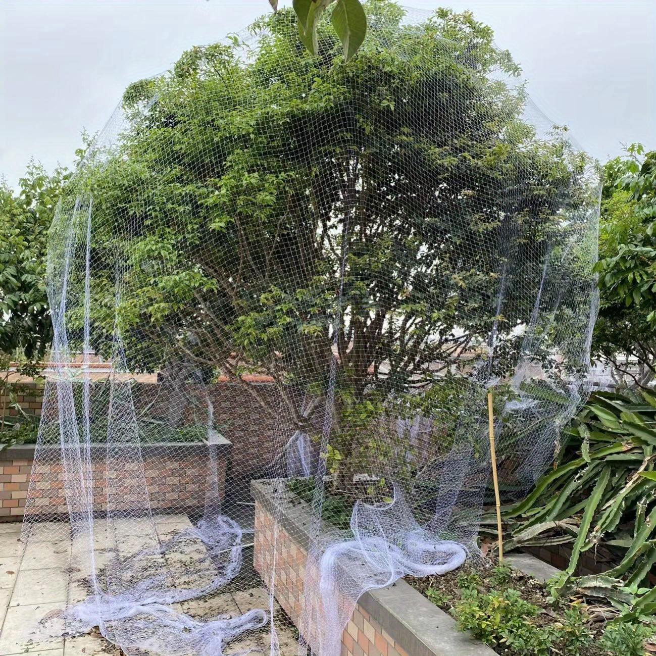 

White Transparent Bird Netting For Garden Protection, Vegetable Plants & Fruit Trees, Pp Garden Netting For Potted Plants, Cherry Strawberry Bird Protection, Garden Cover Netting For Lawn &