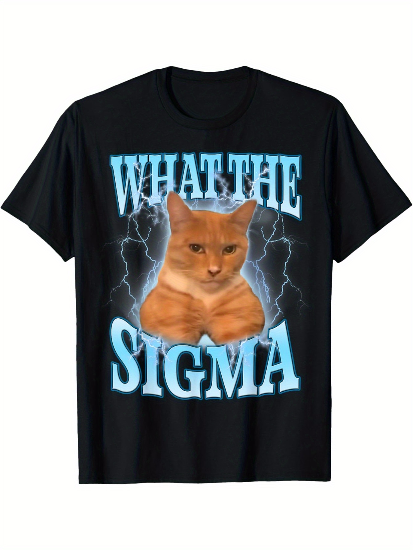 Camiseta ERM What The * Meme Cat - Camiseta Irónica Y2* Juego de *  Matemáticas y * de * Griega * Manga Corta y Cuello, image size:800x1066