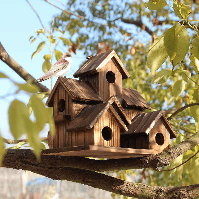 

Outdoor Bird House, Feeding Birds In Areas, Small House Style Bird House, Outdoor Chicken Sparrow Nest Box, Natural Wooden Hummingbird And Red , Outdoor Hanging, Gardening Gifts, Home Decoration