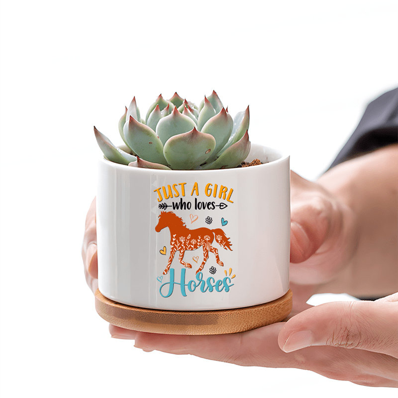 indoor house plant pots Assorted 4