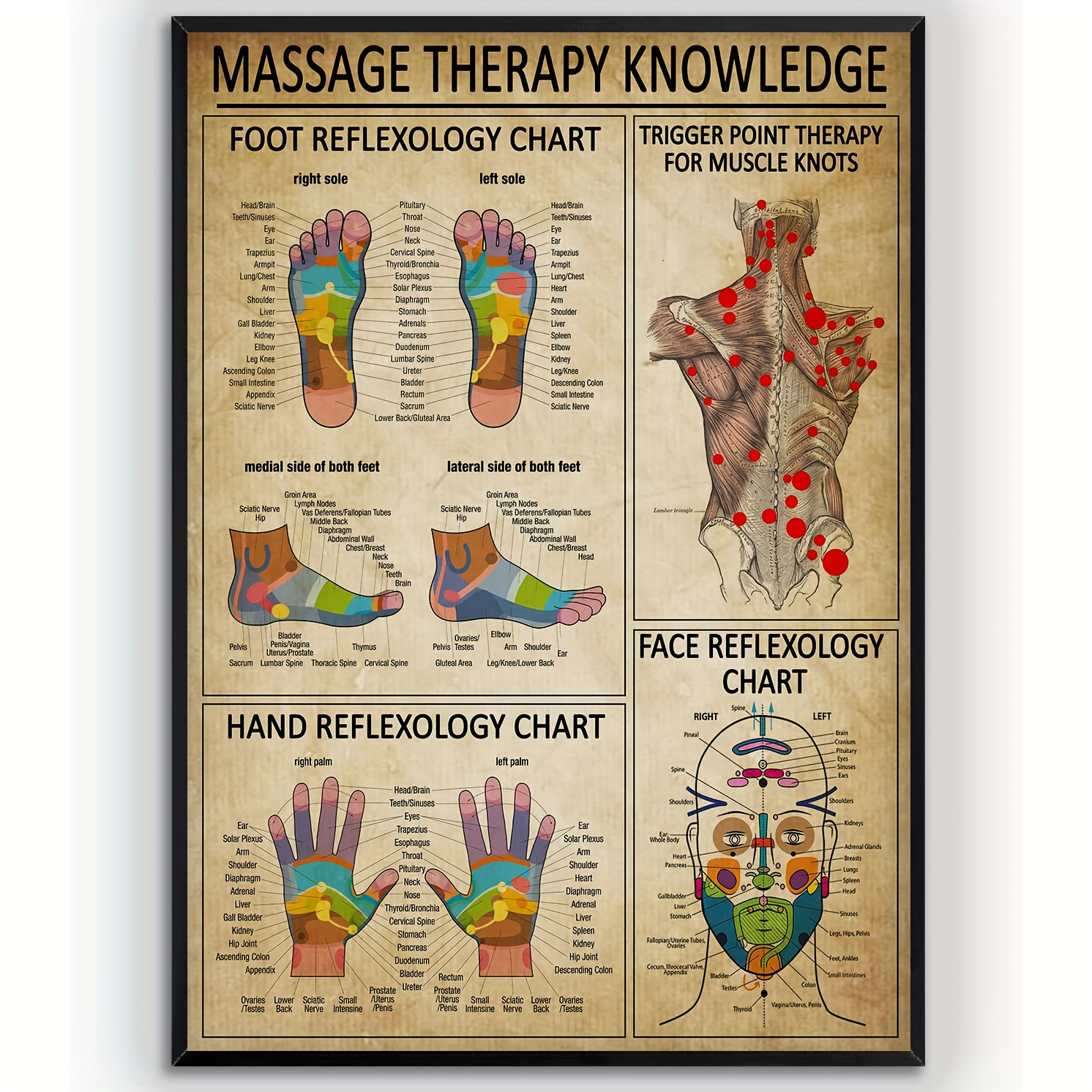 

1pc Vintage Massage Guide Canvas Poster, Canvas Wall Art, For Gift, Office, Living Room, Cafe, Wall Decor, Home And Dormitory Decoration