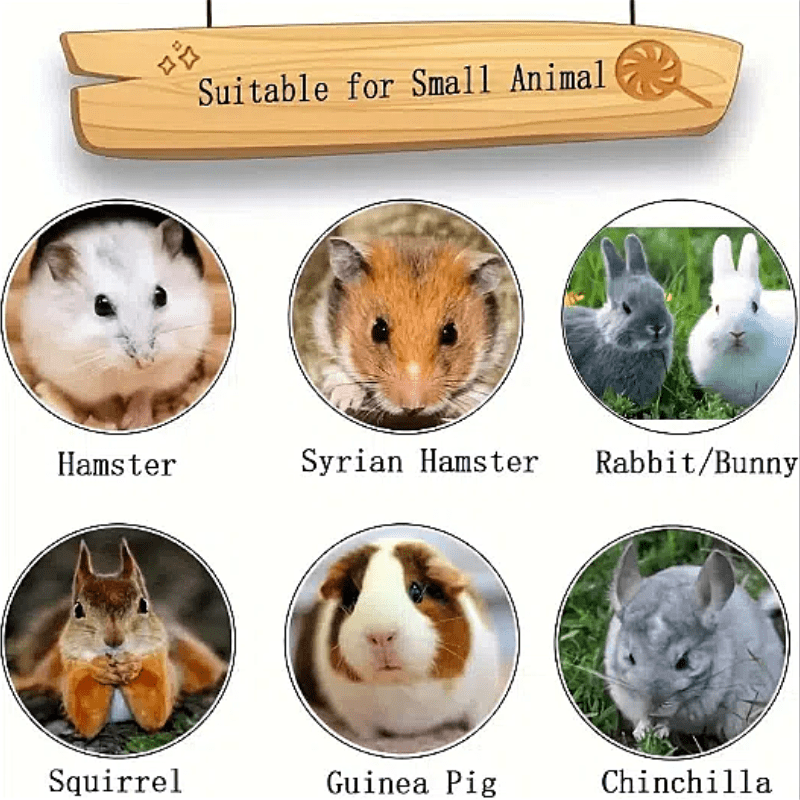 1728037322706 704a99ca538c4e7fb7e870ba6f70481e Goods