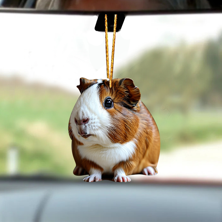 

Guinea Pig Car - And For