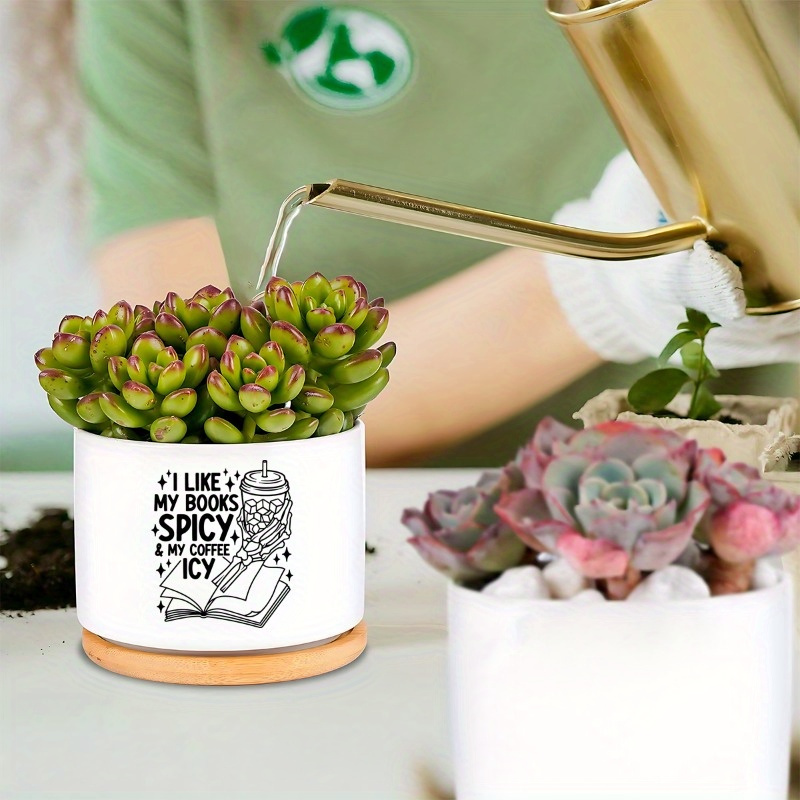 grandezza vaso per aloe vera ALOE VERA IN VASO 12CM – Peragashop