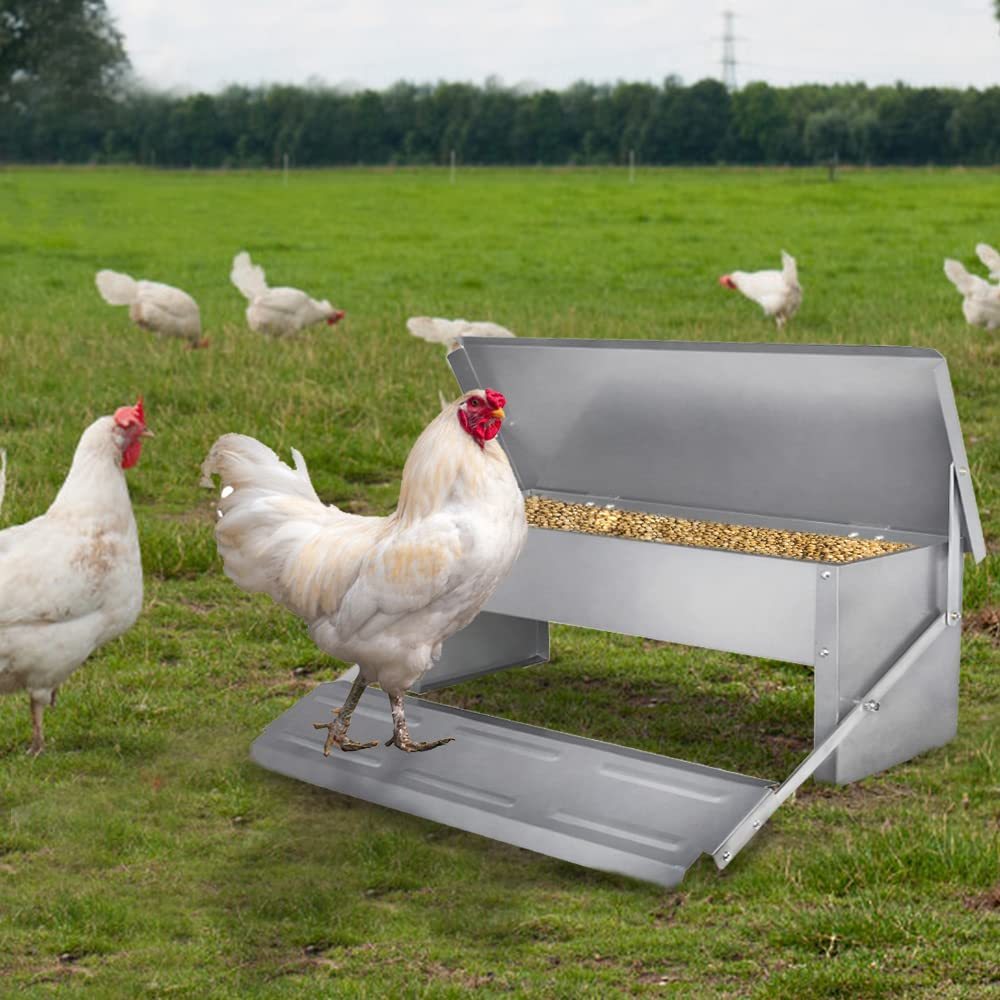 

Chicken Automatic Feeder 10kg Capacity Aluminum Alloy With Automatic Pedal Poultry Feeding Trough