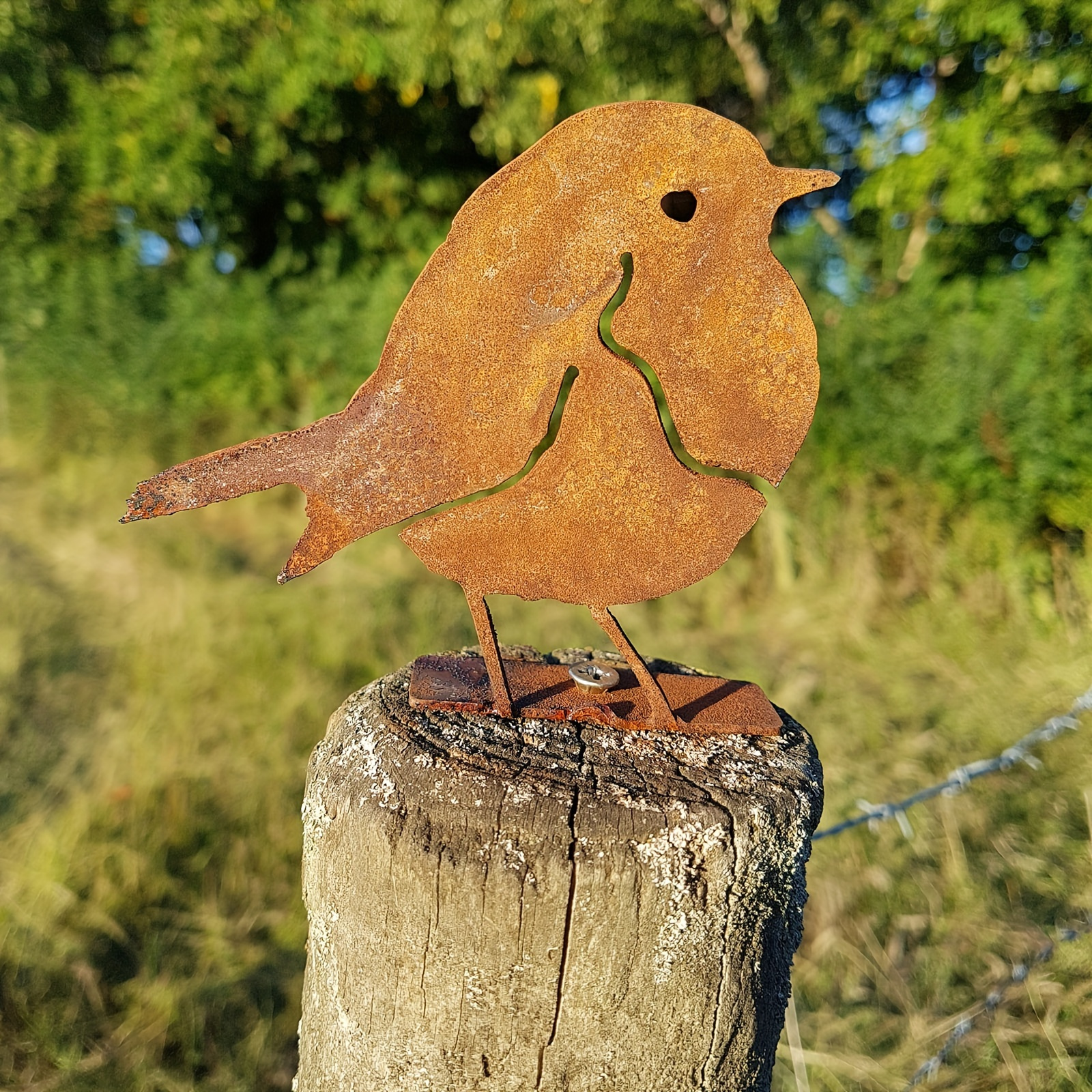 E-shop Eine handgefertigte Vogelfigur aus Metall mit einem verwitterten Rost-Erscheinungsbild, ideal zur Verbesserung von Außenbereichen wie Gärten und