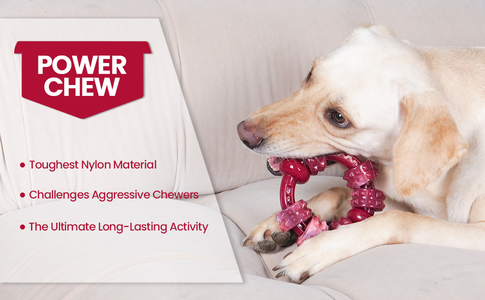 1pc 2pcs large with mixed   dog chew toy for chewing dogs indestructible dog toy for large chewing dogs durable nylon dog toy Product details 1