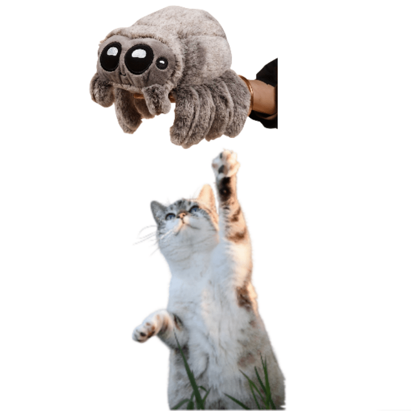 

Adorable Plush Spider Cat Toy - Interactive Breeds, No Batteries Required