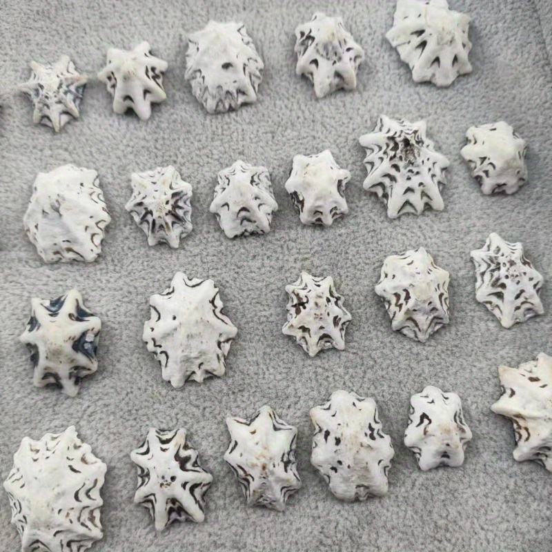 

30pcs Starfish Shell Conch Crafts Set - Ideal For Ocean-themed Home Decor, Fish Landscaping, And Diy Drifting Bottle Wind Chimes | Handmade Jewelry Gift Box, Sea Decorations