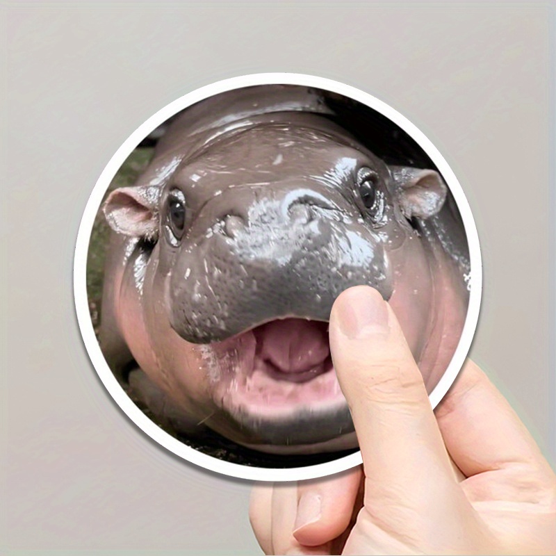 

Cute Hippo Sticker