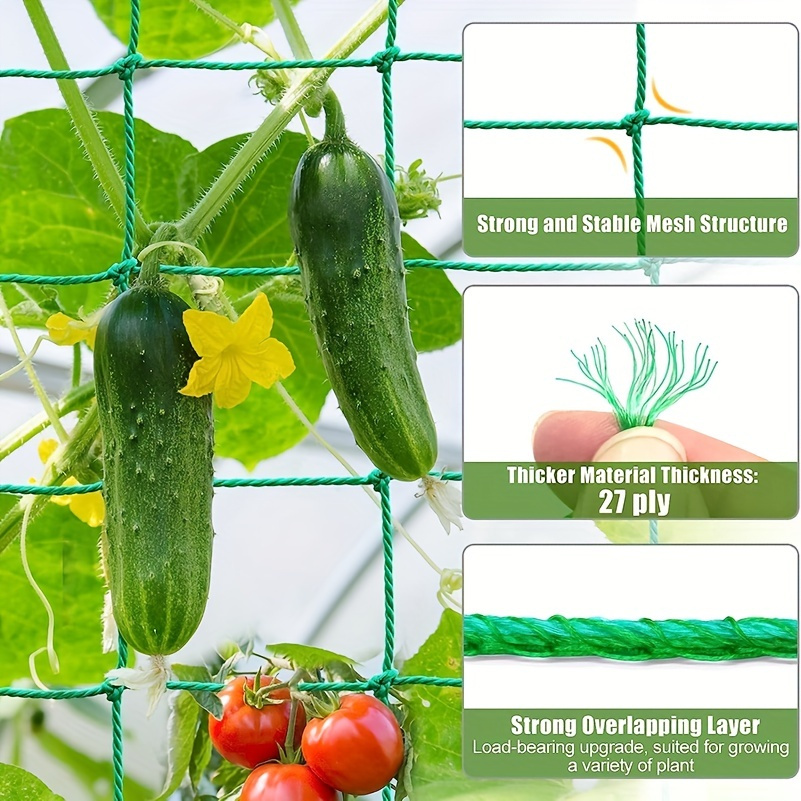 Rete Da Giardino Per Rampicanti 3,6x1,8 M – Maglia 10x10 Cm – Nylon Resistente Con Corde Agli Angoli – Per Cetrioli, Pomodori, Fagioli E Uva - 3