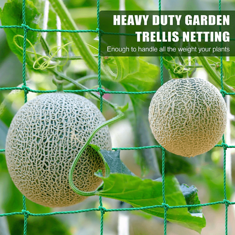 Rete Da Giardino Per Piante Rampicanti 3,6x1,8m - Supporto In Nylon Per Cetrioli, Pomodori E Uva