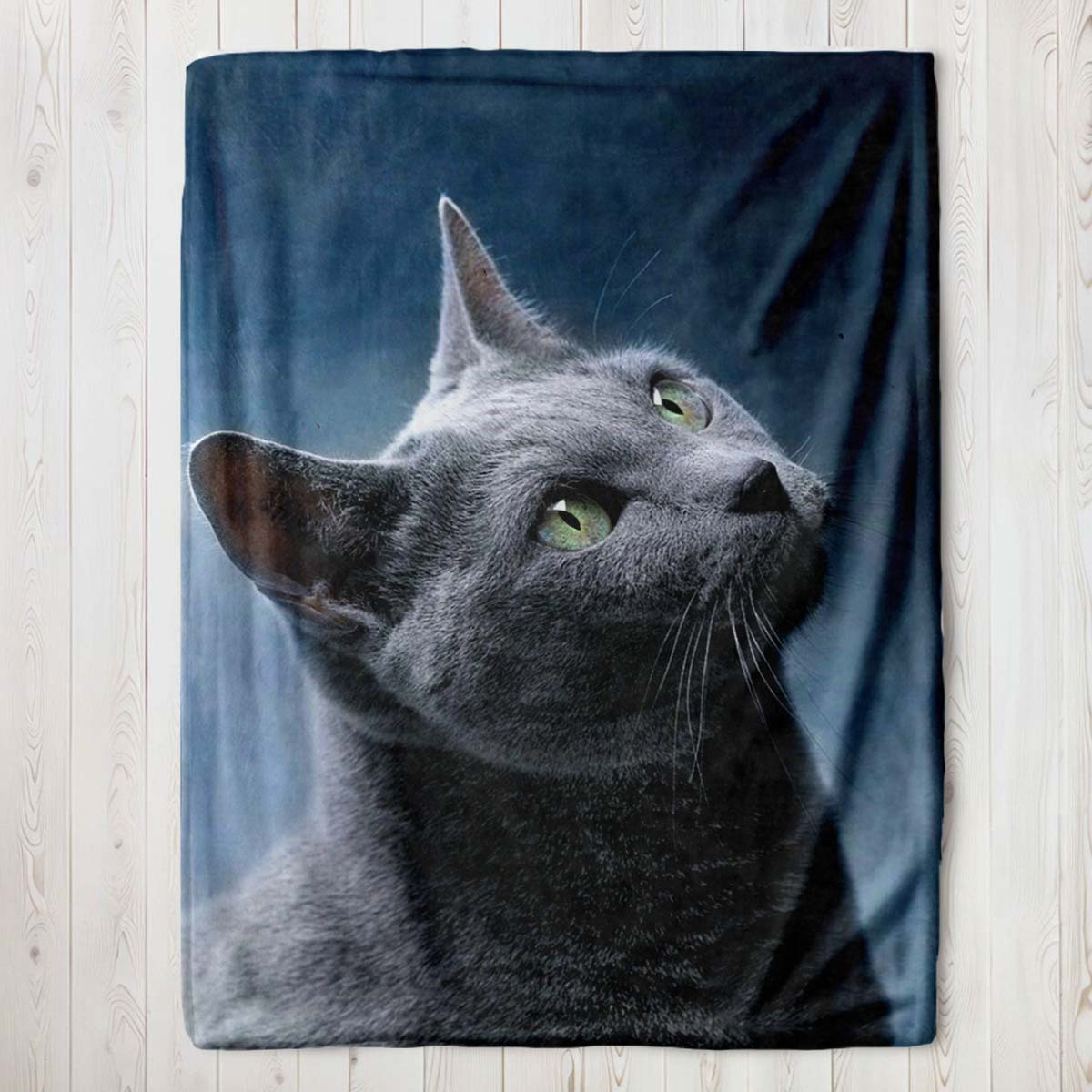 

Cat Blanket - , & - For Birthdays &