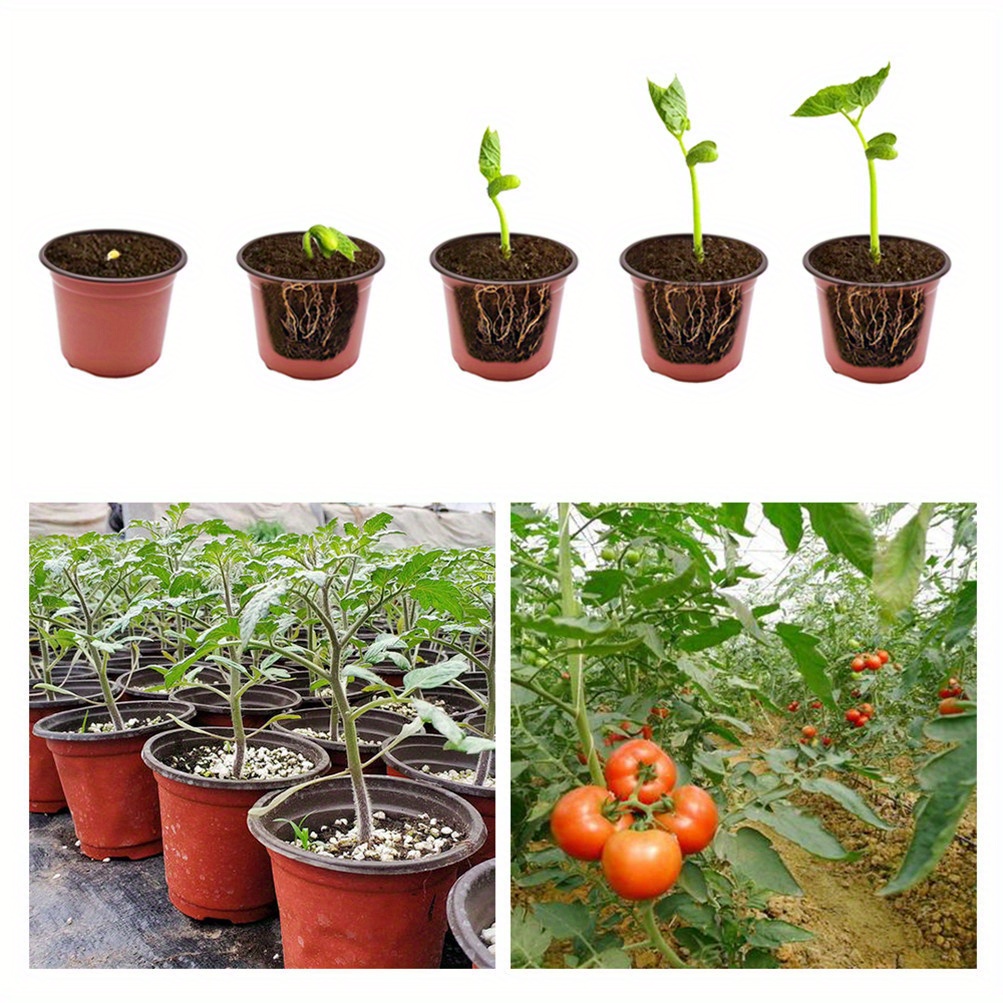 

Wflnhb 50 Pcs 11.8 Plastic , Seedling Container And Seed Starting , Container For Succulents, Seedlings, , Transplanting