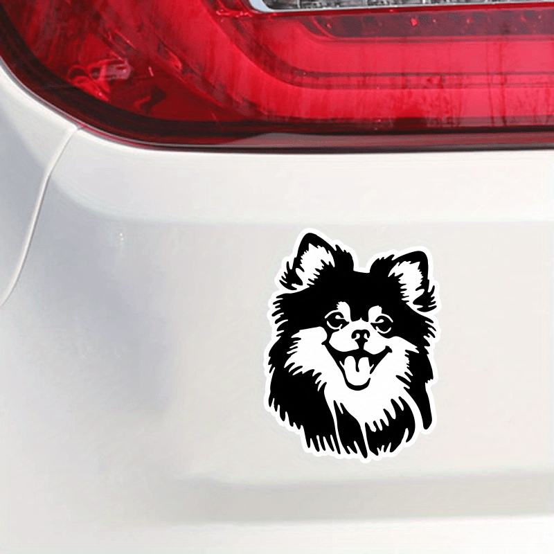 

Pomeranian Peeking Vinyl Decal - & Weather-resistant, Cars, Laptops, Water Bottles & More