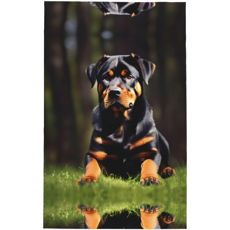Rottweiler Puppies - Rottweiler Welpen 2023 - 16-Monatskalender: Original Avonside-Kalender [Mehrsprachig] [Kalender] : Avonside Publishing Ltd