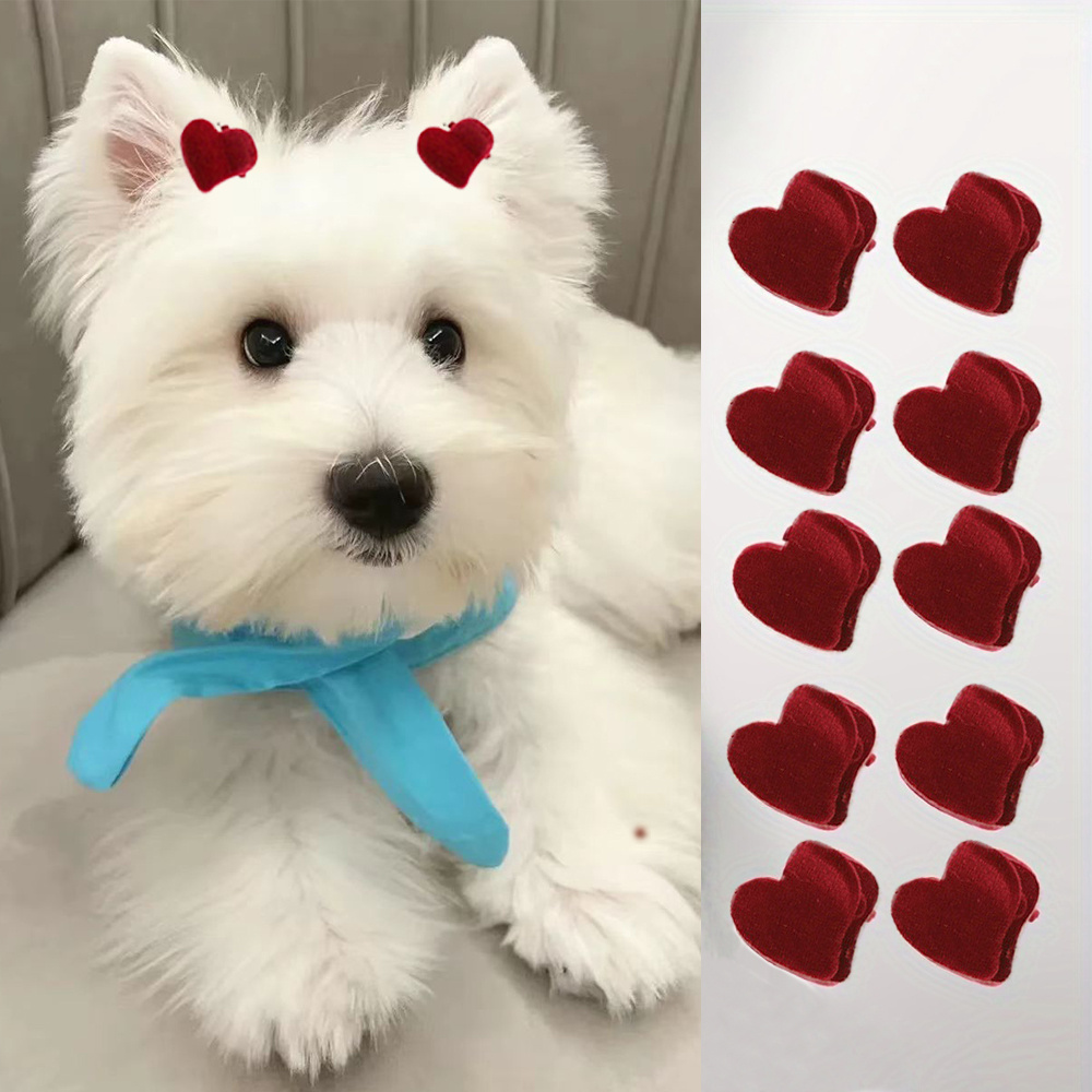 

12- Pet , Small , Accessories, Dog Decor, Red Pattern