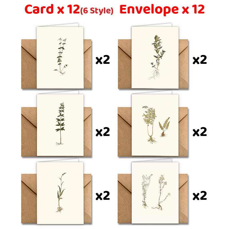 

24pcs Greeting Envelopes - For , &