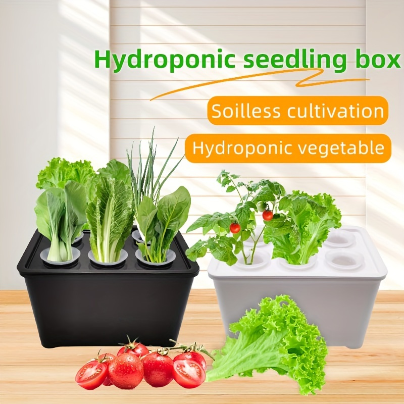 

Easy-to-use Hydroponic Garden Kit For Indoor Vegetables & Vanilla - No Electricity Needed, Balcony Gardening