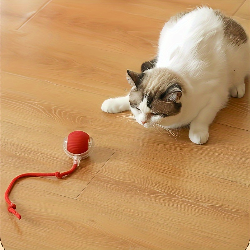 

An Interactive Usb Rechargeable Motorised Cat Toy A And -in Rechargeable 150mah Battery- Fun -entertaining Pet !