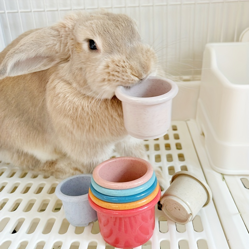 

Tasses empilables pour lapins, jouets riches en animaux colorés, jeux de collations cachées, adaptés aux lapins, , animaux de compagnie pour soulager l'ennui, matériau aux morsures