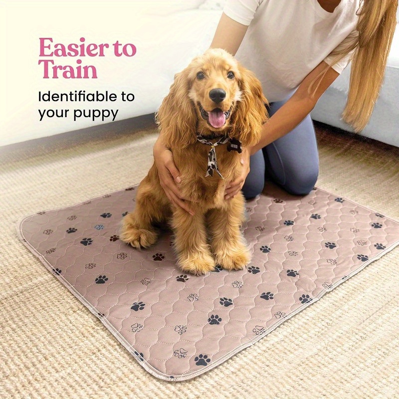 

Washable Dog Pee Pad - Reusable - , & For To Breeds