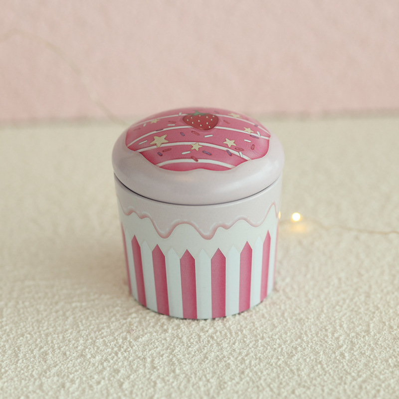 Mini Metal Decorative Can, Multifunctional Storage Box