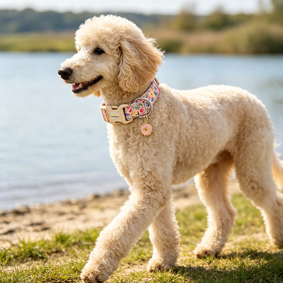 Fresh Floral Print Dog Collar for Spring Strolls