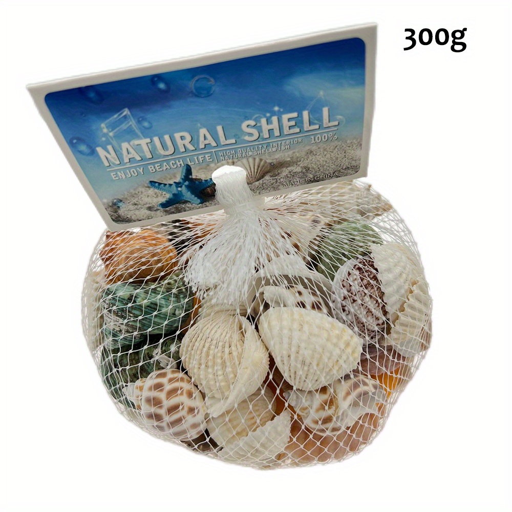 sea shells for crafts sold on Temu United States