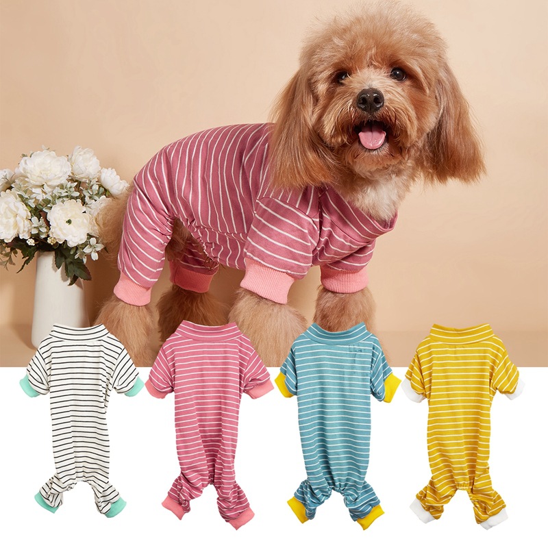dog clothing for small dogs sold on Temu United States